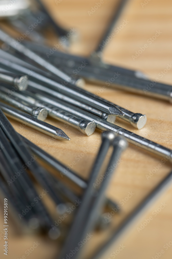 Fototapeta premium nails with small caps for finishing work and decorations