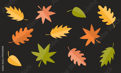 Autumn leaf set. Maple, oak, chestnut aspen, birch. Yellow red orange fall leaves. Different tree leaves. Greeting card poster, pattern, banner sticker. Flat design. Black background. Vector