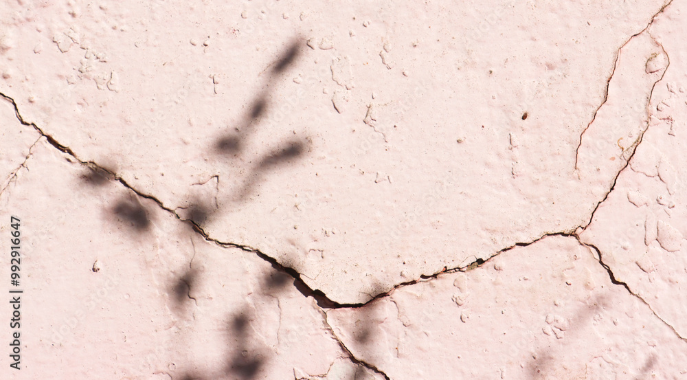 Fototapeta premium Abstract shadow of leaf tree on color wall