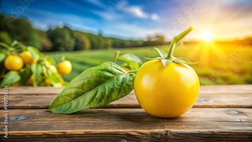 Bright yellow solanum fruits nestle amidst fresh green leaves on weathered wood, basking in natural light that enhances