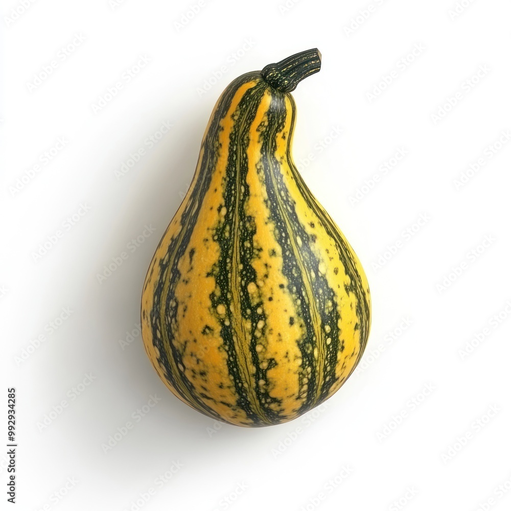 A decorative gourd with yellow and green stripes, commonly used in autumn displays. A decorative gourd with yellow and green stripes, commonly used in autumn displays.