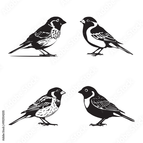 Sparrow bird silhouette vector set black color illustration in white background