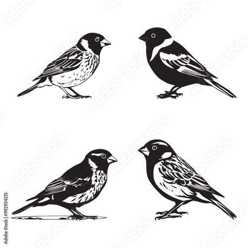Sparrow bird silhouette vector set black color illustration in white background