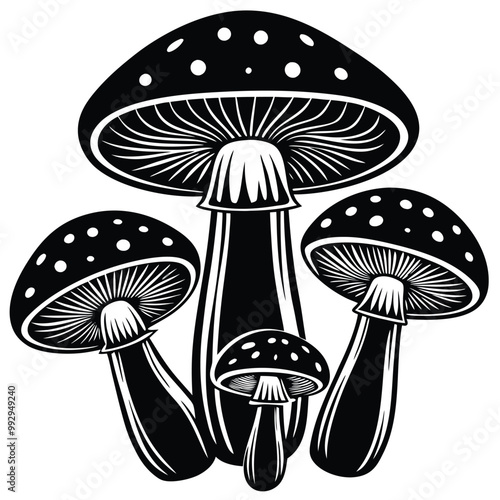 Porcini mushrooms vector. Hand-drawn Porcini mushrooms vector illustration.