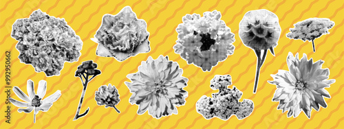 Set of retro halftone flowers. Chamomile, meadow flower, clover, tulip, cornflower. Modern vector illustration.