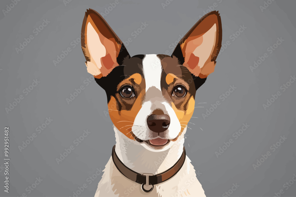Rat Terrier dog head portrait, looking happy, frontal view Rat Terrier dog head portrait, looking happy, frontal view