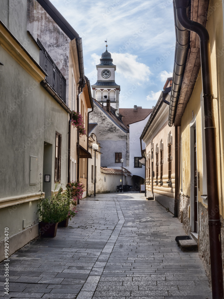 Original houses on the historic Třeboň Square, Czech Republic