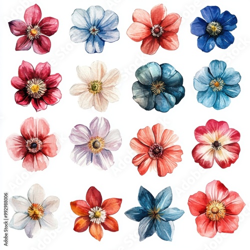 Watercolor Flowers Set.