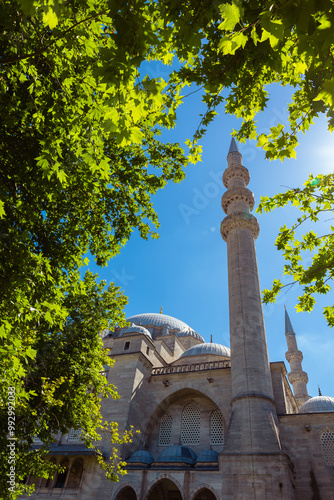 Photography Ramadan or islamic background photo. Suleymaniye Mosque and tree