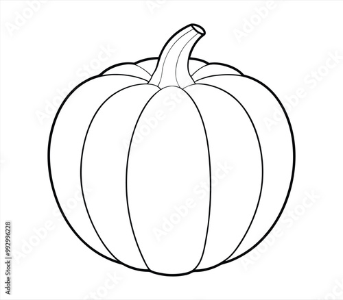 Pumpkin line art vector on white background