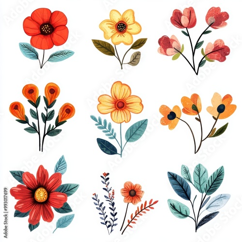 Watercolor Floral Set.