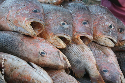 A pile of fish is seen at a fish market in Bangladesh's seaport city of Chittagong, Bangladesh. photo