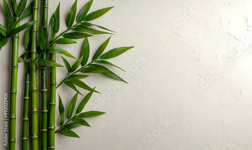 Minimalist Bamboo Stalk Pattern, elegant arrangement of bamboo stalks on a soft neutral background, highlighting simplicity and natural beauty.