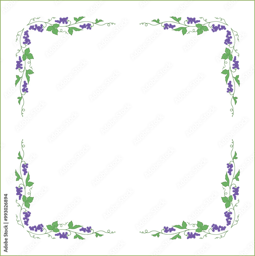 Vegetal frame with grapevine, bunches with blue grape, decorative corners for greeting cards, banners, business cards, invitations, menus. Isolated vector illustration.
Vegetal frame with grapevine, bunches with blue grape, decorative corners for greeting cards, banners, business cards, invitations, menus. Isolated vector illustration.