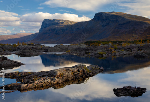Wallpaper Mural A fraction of a season in the arctic Torontodigital.ca