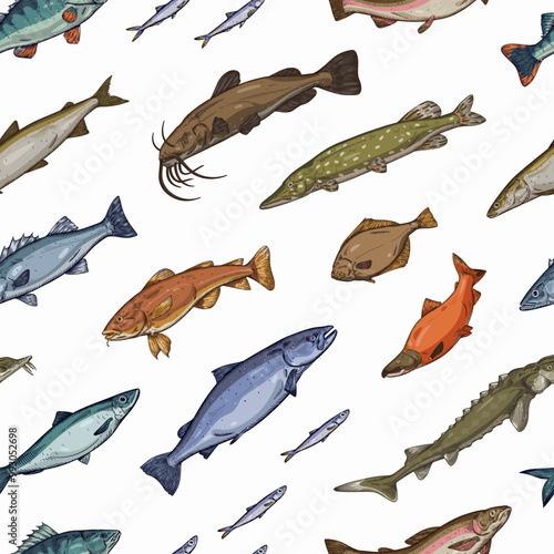 Repeatable pattern of different species of sea and freshwater fishes. Endless background with realistic print of salmon, tuna, trout, catfish, perch. Vintage hand drawn seamless vector illustration