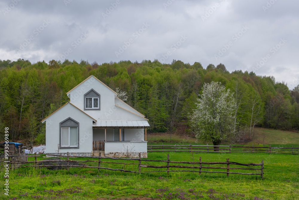 Stone houses built in green forest land. A mountain hut surrounded by greenery in spring. Modern building in forest land. Bursa Kırıntı village. View of houses on the plateau in rainy weather. Stone houses built in green forest land. A mountain hut surrounded by greenery in spring. Modern building in forest land. Bursa Kırıntı village. View of houses on the plateau in rainy weather.