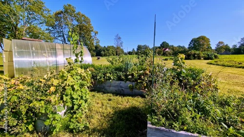 Wallpaper Mural Lush Vegetable Garden with Raised Beds and a greehouse in a Countryside Setting Torontodigital.ca