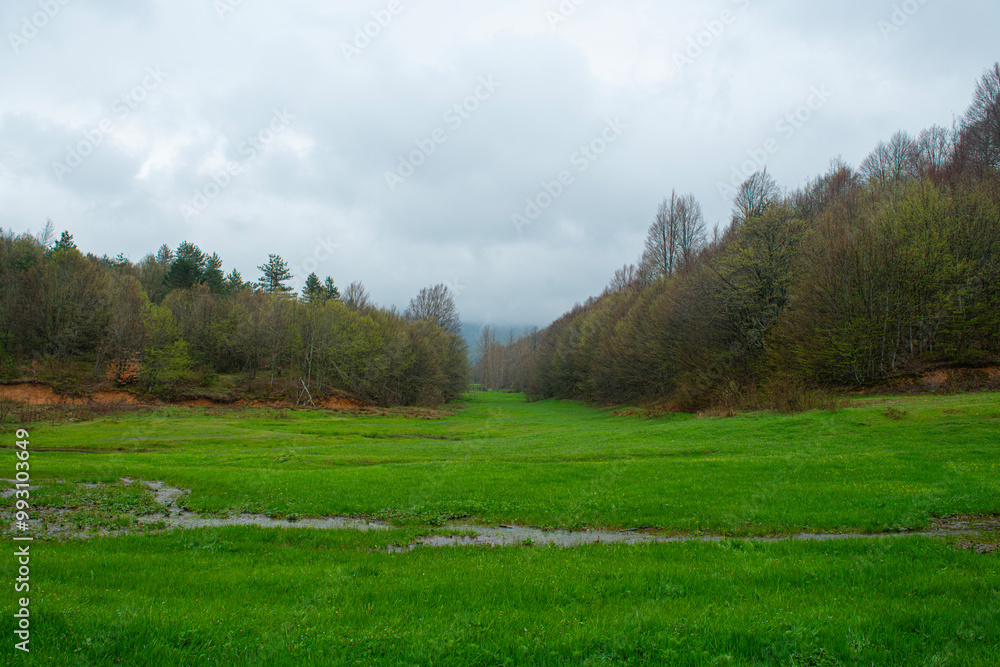 Foggy, rainy plateau mountain landscape in spring. Mountains covered with clouds in rainy weather. Bursa Kırıntı Village trekking routes. Green meadows and misty mountains in spring.