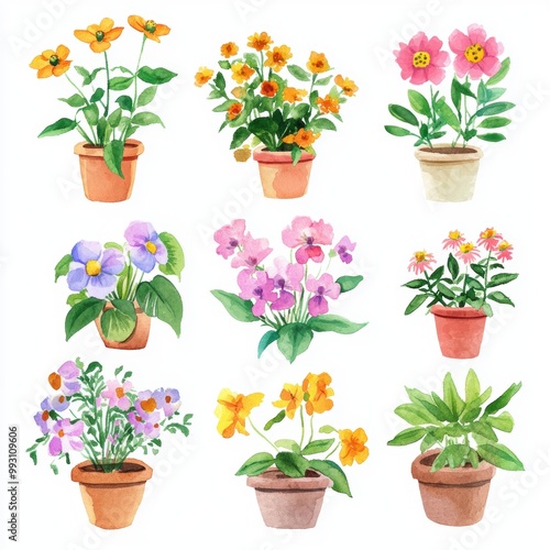 Watercolor Flower Pots.