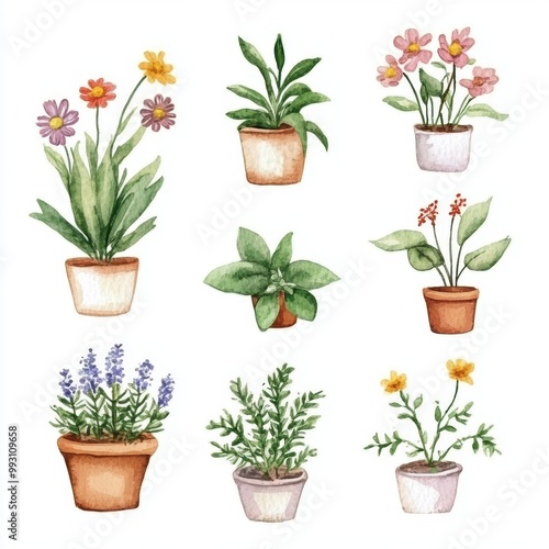Watercolor Houseplants Set.
