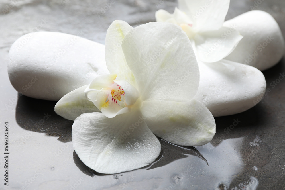 Spa stones and beautiful orchid flowers in water on grey textured surface, closeup Spa stones and beautiful orchid flowers in water on grey textured surface, closeup