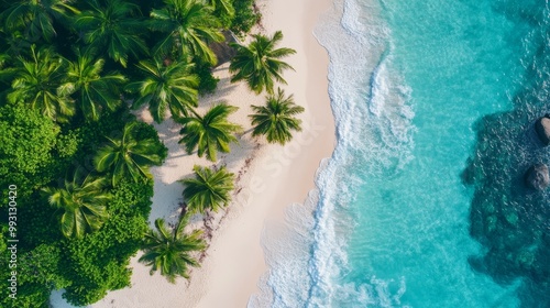 Serene Seychellois Ladob: Tranquil Island Scene with Palm Trees and Beach from Above photo