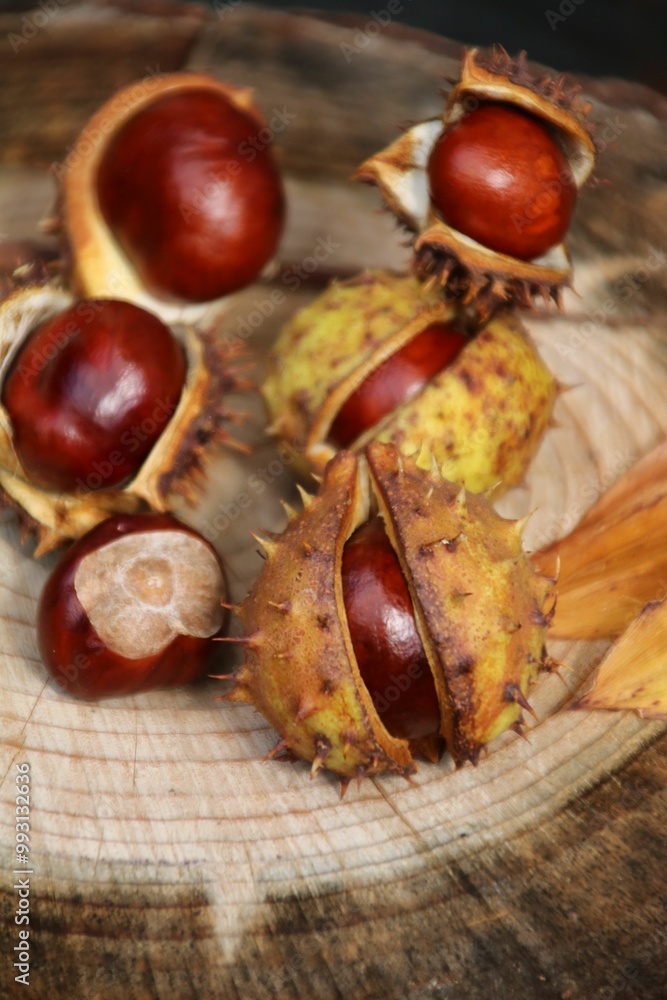 kastanien in aufgesprungener schale