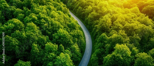 A winding road through lush green forests, showcasing nature's tranquility and beauty in a serene landscape.