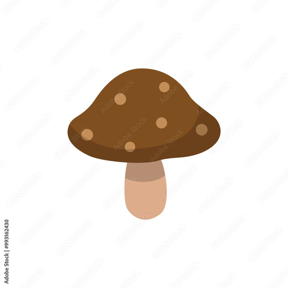 Autumn mushroom isolated on white background. Autumn mushroom isolated on white background.
