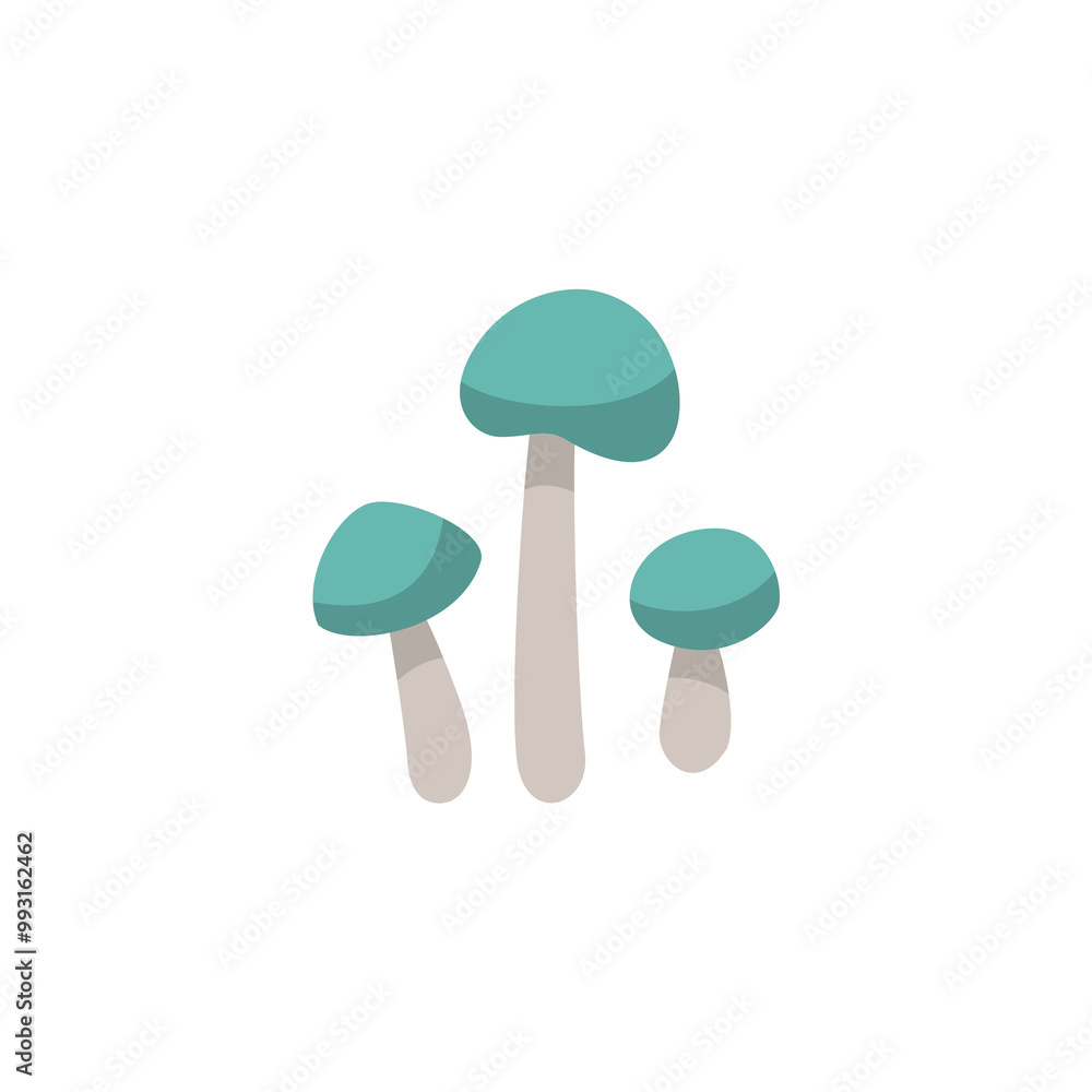 Autumn mushroom isolated on white background. Autumn mushroom isolated on white background.