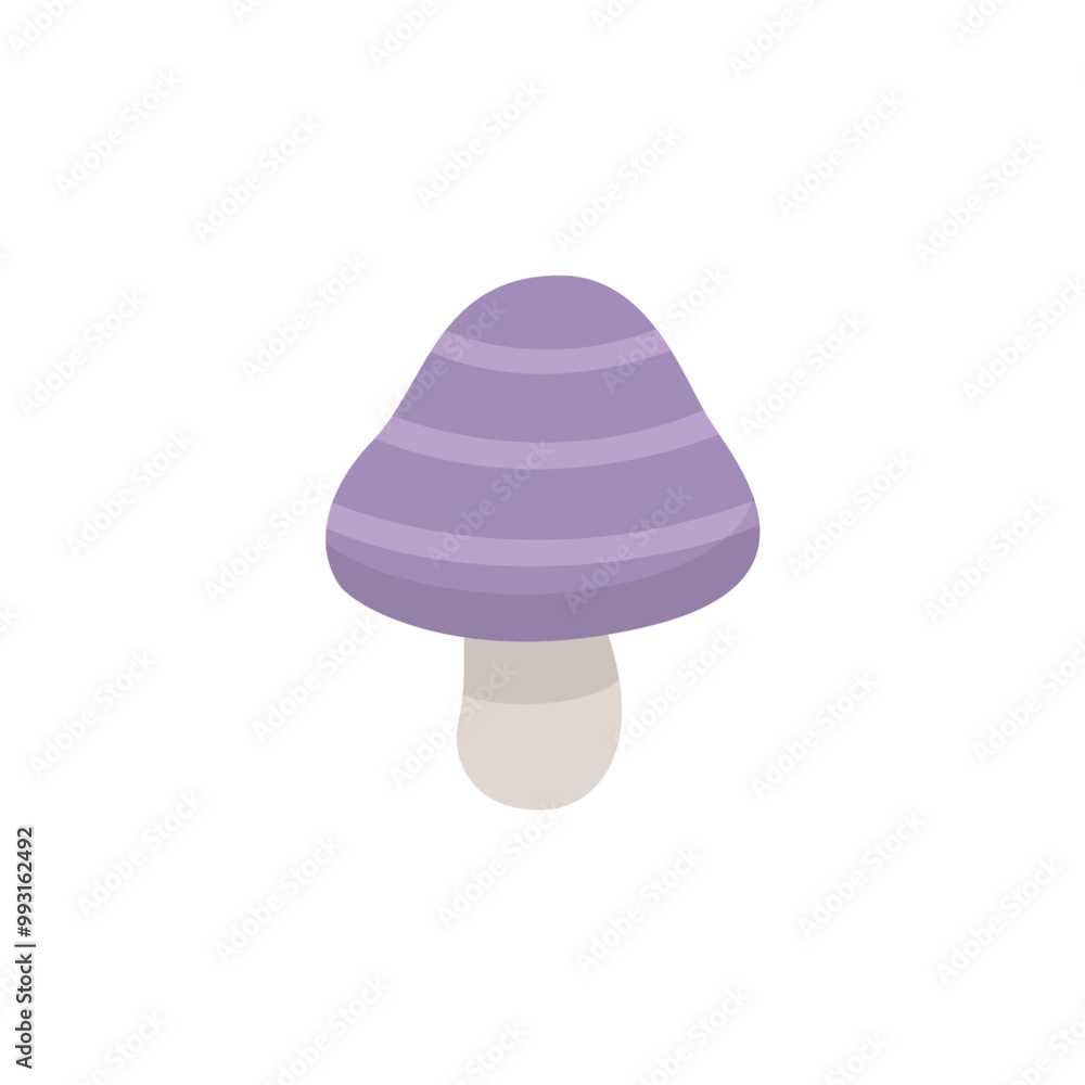 Autumn mushroom isolated on white background. Autumn mushroom isolated on white background.