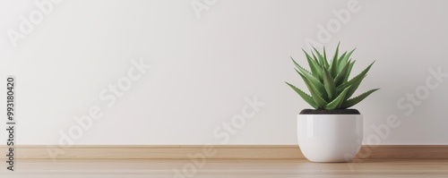 Minimalist decor featuring a green plant in a white pot, set against a light background with wooden flooring.