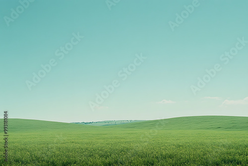 Minimalist Green Field Under Clear Blue Sky