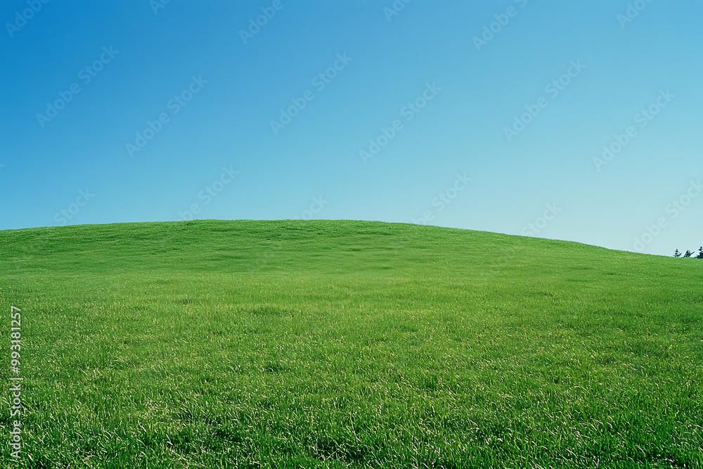 Minimalist Green Field Under Clear Blue Sky Minimalist Green Field Under Clear Blue Sky