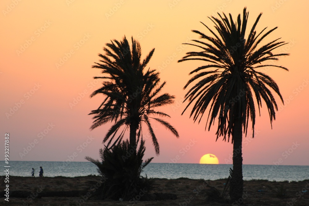 Fototapeta premium sunset on the beach
