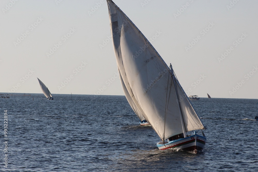 Fototapeta premium sailboat on the sea