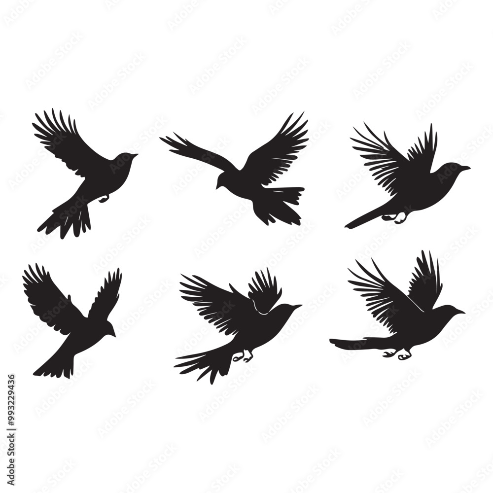 Fototapeta premium Silhouette set of birds flying vector set