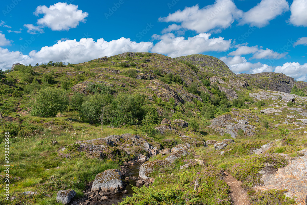 Landscape with mountain stream Studalselva near Munkebu-stig. Sorvagen in Lofoten district of Norway Landscape with mountain stream Studalselva near Munkebu-stig. Sorvagen in Lofoten district of Norway