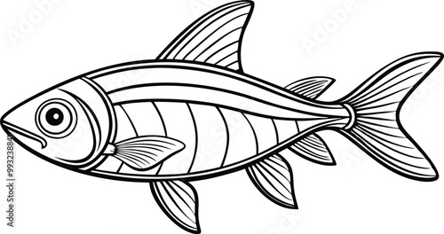 Neon Tetra fish line art vector illustration on black and white.