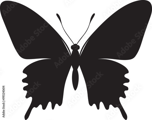 Butterfly vector clean simple