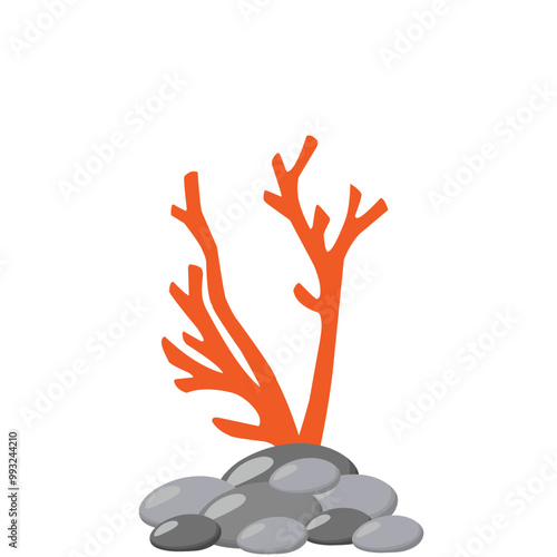 Underwater Coral Vector