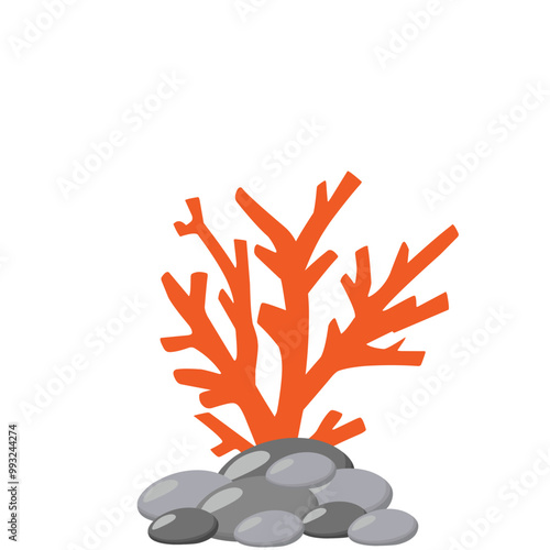 Underwater Coral Vector