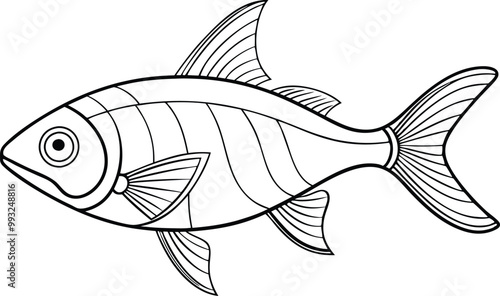 Neon Tetra fish line art vector illustration on black and white.