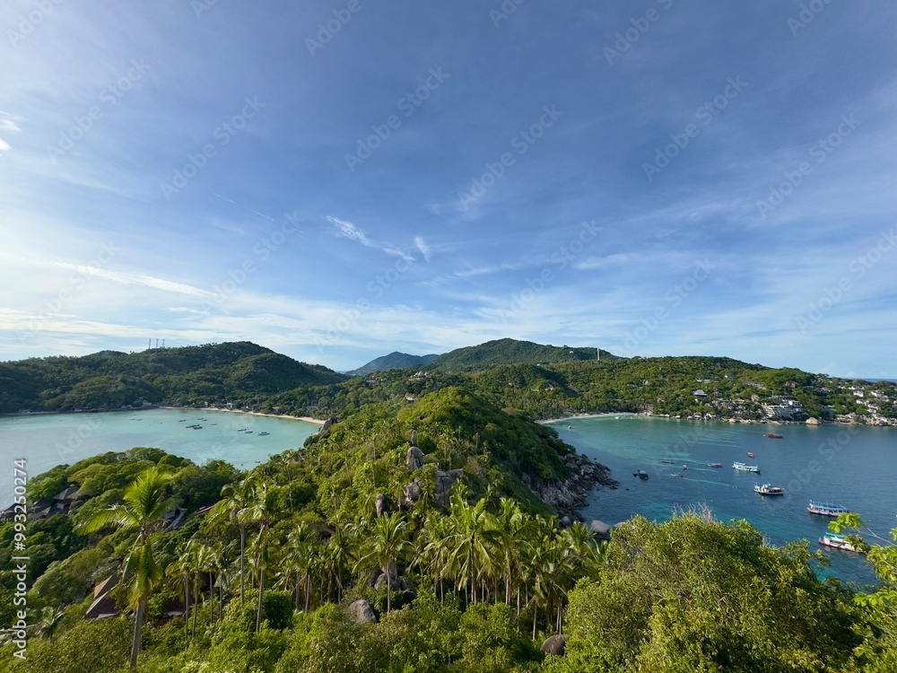island viewpoint with sea and jungle island viewpoint with sea and jungle