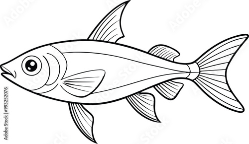 Neon Tetra fish line art vector illustration on black and white.