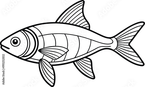 Neon Tetra fish line art vector illustration on black and white.