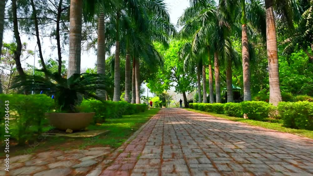 Elegant Garden Pathway with Palm Trees and Flowering Nature in Full Bloom Elegant Garden Pathway with Palm Trees and Flowering Nature in Full Bloom