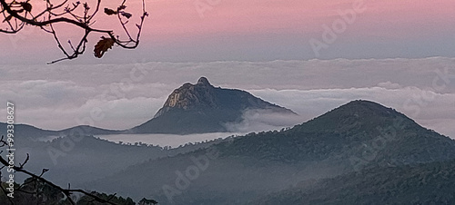 Panoramic view through tree branches on top of a mountain above the clouds at sunset. Seraidi. Annaba. Algeria