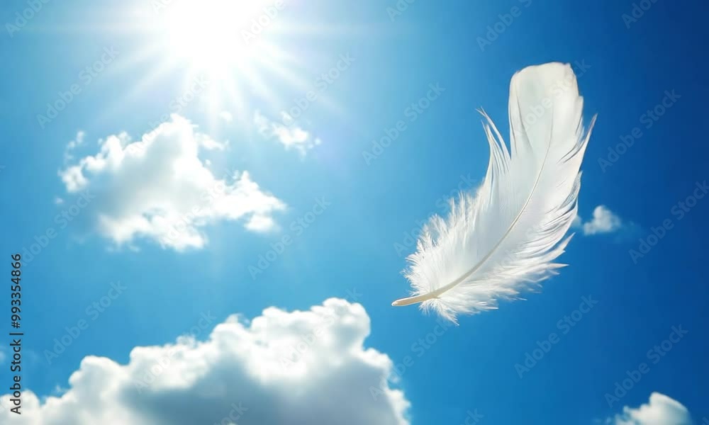 white feather fly in the wind on sunny blue sky background white feather fly in the wind on sunny blue sky background